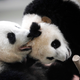 This could be us but you playin’ Image: AP